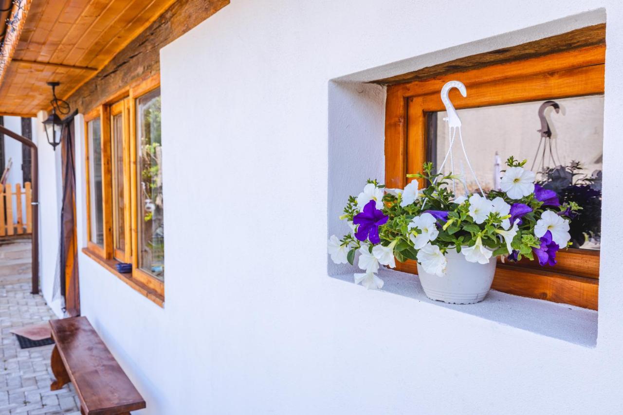 Chalet Giuel Barcut Εξωτερικό φωτογραφία