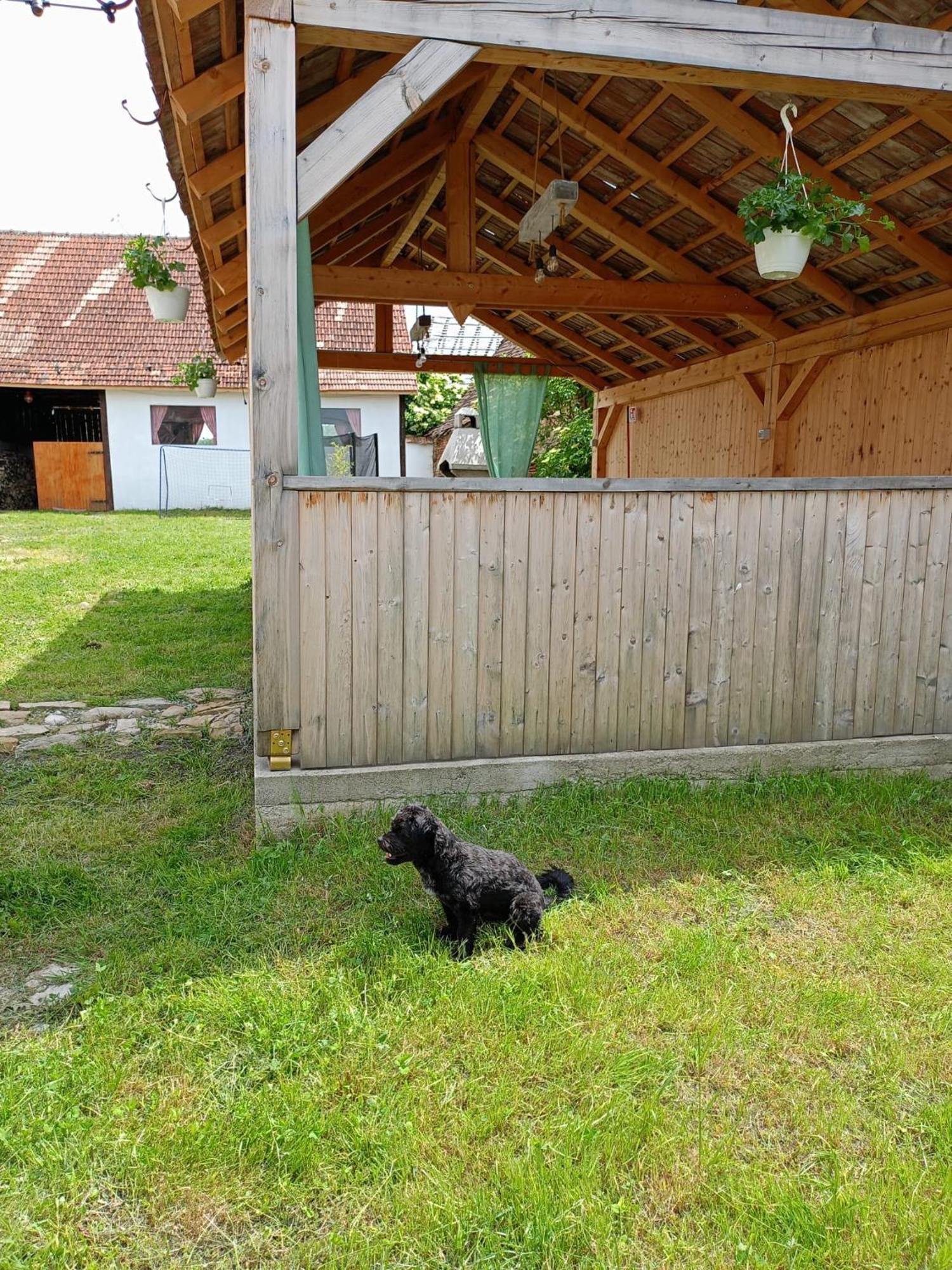 Chalet Giuel Barcut Εξωτερικό φωτογραφία